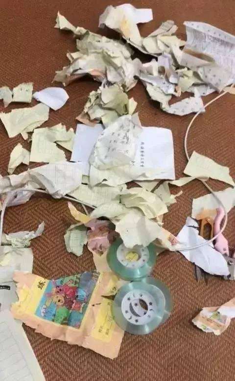 暑假作业被狗撕碎暑假作业惨遭狗儿撕碎的无奈经历与应对策略